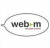 WebM for IE9